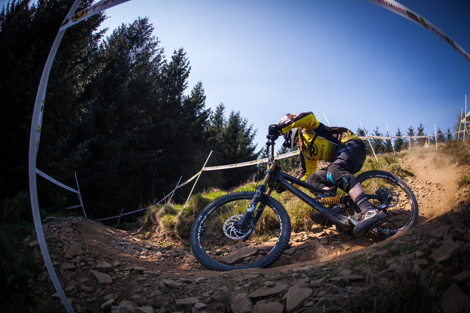 Saracen sales recoil le
