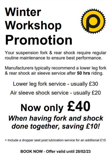 Winter Workshop Promotion