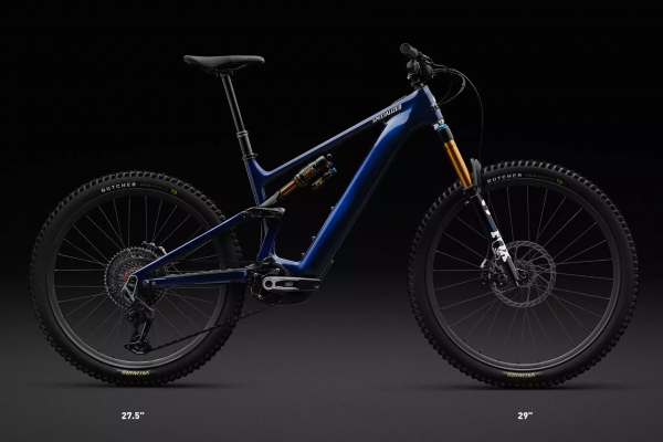 Levo Pro