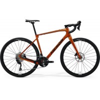 SILEX 4000 hnyblk MY26