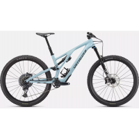 Stumpjumper Evo Comp carbon in stock 