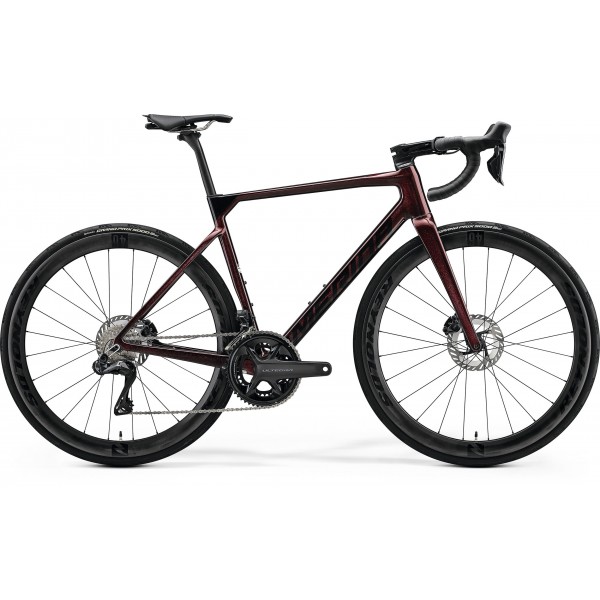 SCULTURA 8000 redblk MY24