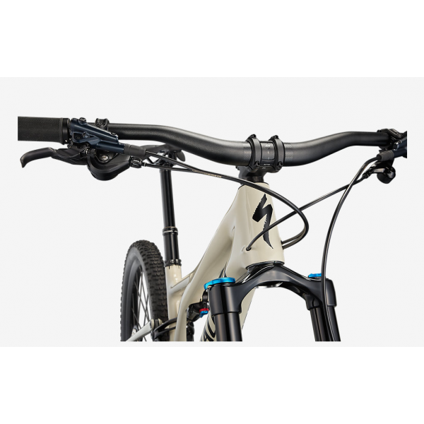 Specialized Stumpjumper Comp Carbon 29 in stock