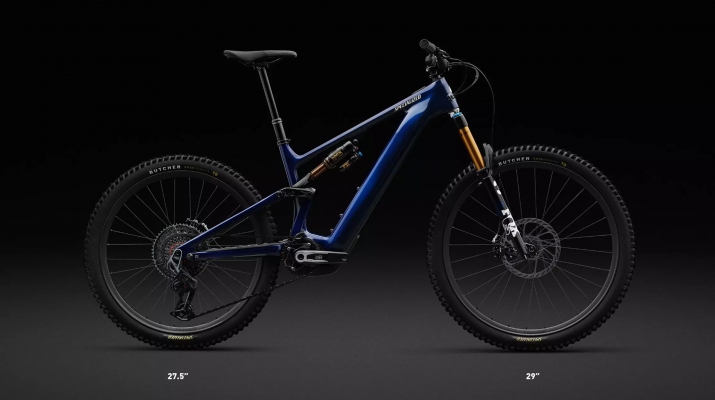 Levo Pro