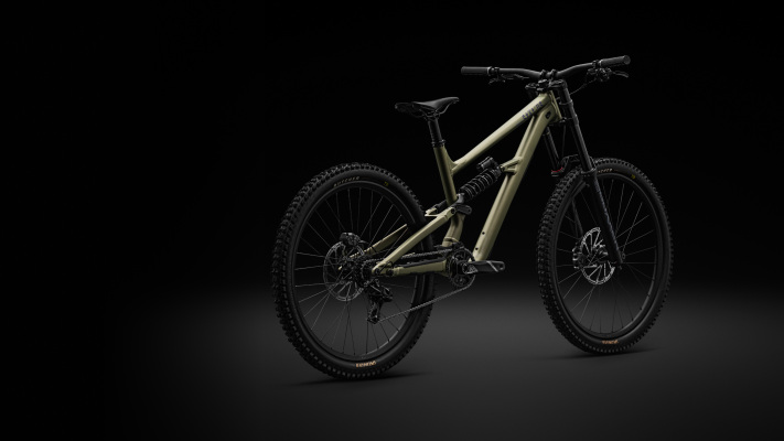 STATUS2 HP DH Specialized Status 2 DH